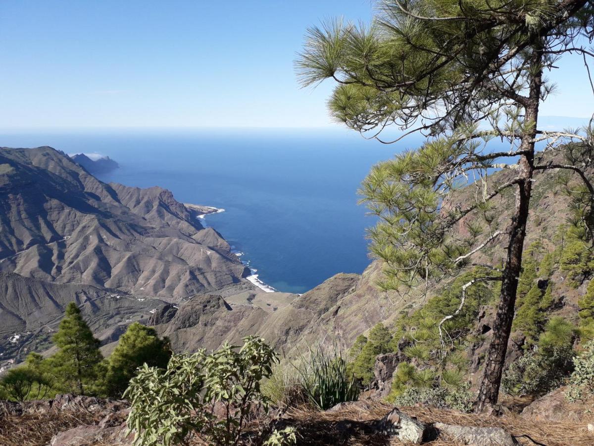 马斯帕洛马斯Taidia Tropical公寓 外观 照片